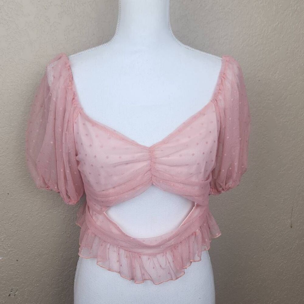 Evolutionary Mauve Sheer Mesh Puff Sleeve Crop Top XL NWT (5049)